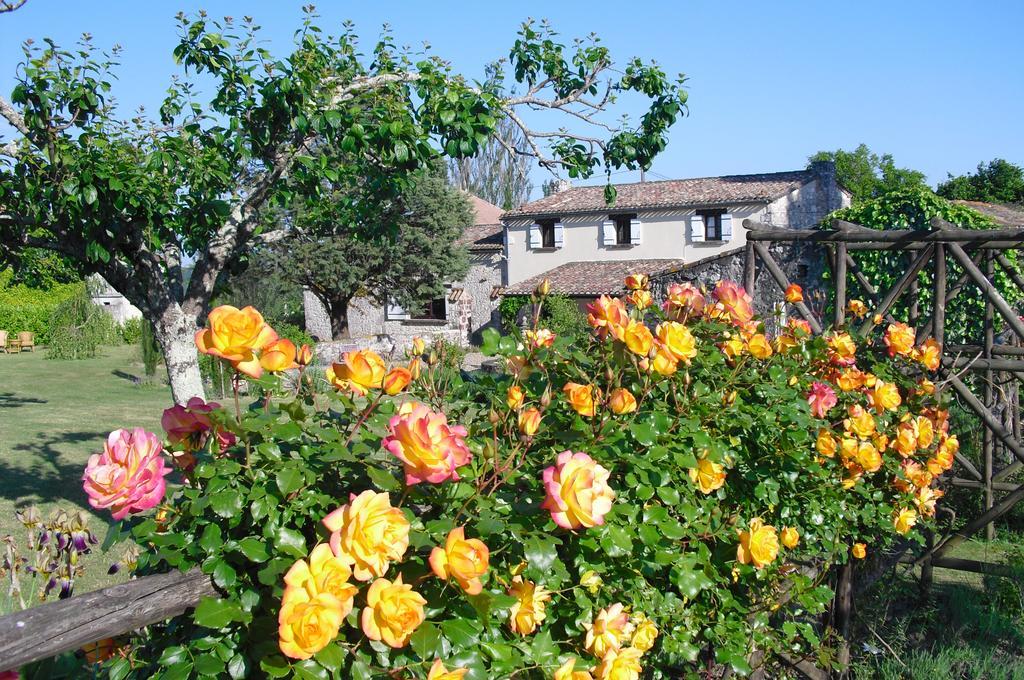 Luxury B&B Maison A Votre Sante, In Bordeaux Wine Region Savignac-de-Duras Exteriér fotografie
